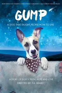 Download Gump – pes, který naucil lidi zít (2021) {Czech With Subtitles} Web-DL 480p [260MB] || 720p [800MB] || 1080p [1.61GB]