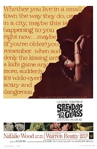 Download Splendor in the Grass (1961) {English With Subtitles} 480p [600MB] || 720p [1.3GB] || 1080p [3GB]