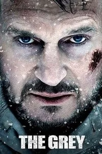 Download The Grey (2011) Dual Audio (Hindi-English) 480p [460MB] || 720p [1.1GB] || 1080p [2.56GB]